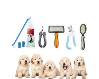 Set spazzolino e dentifricio + tagliaunghie + spazzola + pettine per animali a scelta