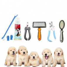 Set spazzolino e dentifricio + tagliaunghie + spazzola + pettine per animali a scelta