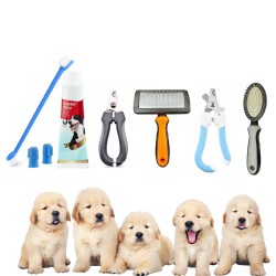 Set spazzolino e dentifricio + tagliaunghie + spazzola + pettine per animali a scelta